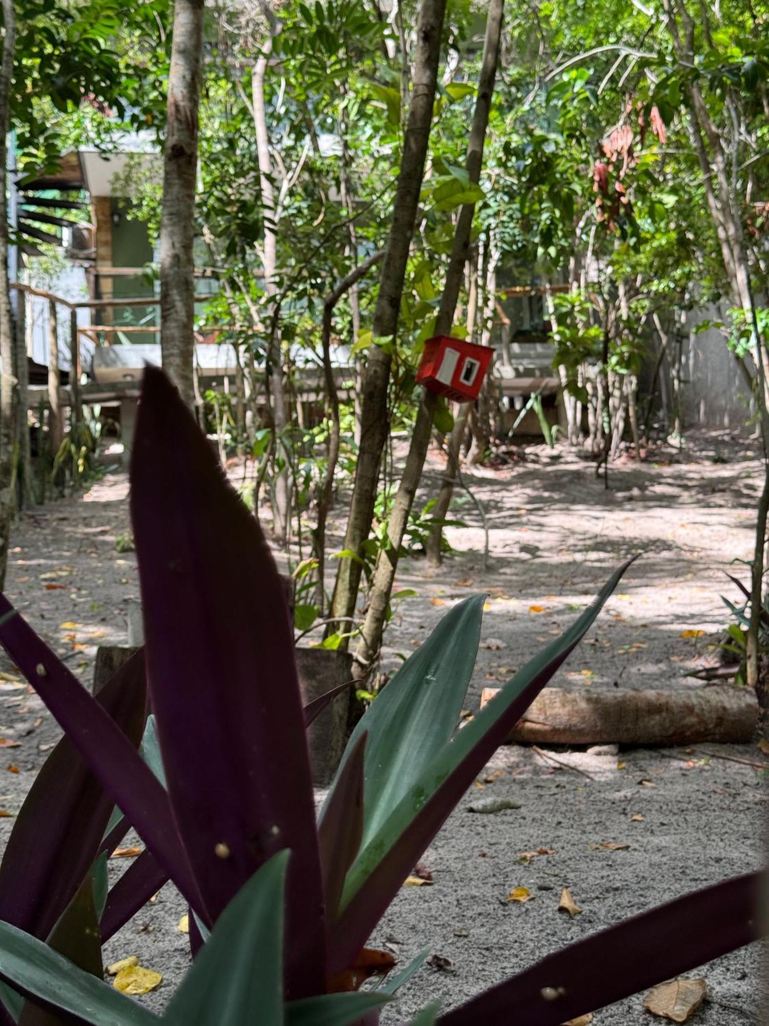 Ninhos Da Pipa Villa Praia de Pipa ภายนอก รูปภาพ