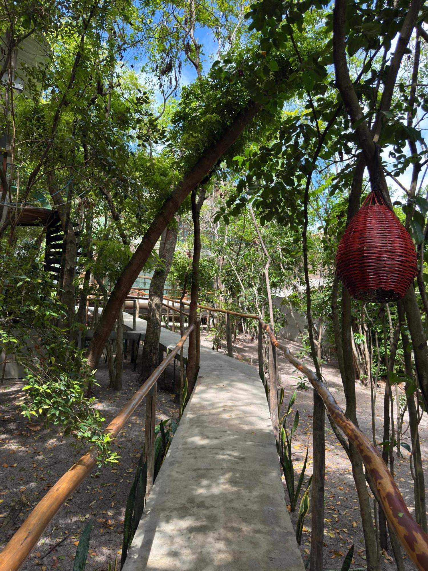 Ninhos Da Pipa Villa Praia de Pipa ภายนอก รูปภาพ